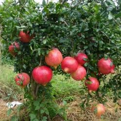 -Oasis Beauty水磨坊科技美肤中心