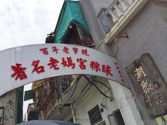 -老妈宫粽球