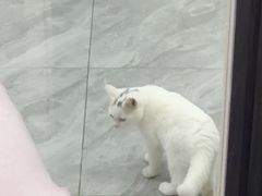 -宠颐生宠物医院·综合诊疗(先锋分院)