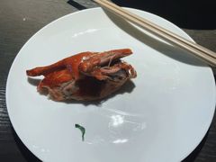 -粤凤佬