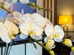 -广州康莱德·韵轩中餐厅
