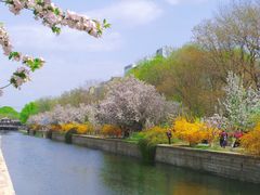 -海棠花溪(元大都城垣遗址公园)