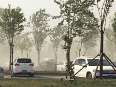 -武清南湖绿博园