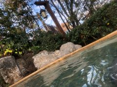 -天目湖涵田半山温泉