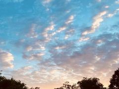 -姚记炒肝店(鼓楼店)