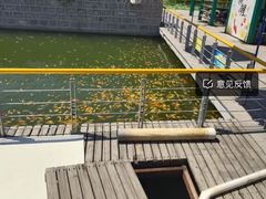 -石家庄市植物园