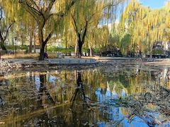 -玲珑塔公园