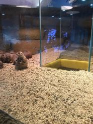 -Mr·Kuma酷么先生雪之乐园