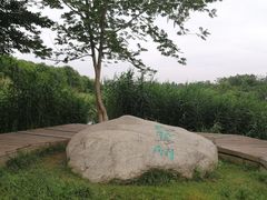 -白鹭湾湿地公园