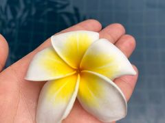 -三亚湾海居铂尔曼度假酒店