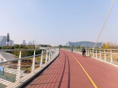 -白鹭湾湿地公园