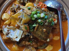 -洞庭家宴·头牌甲鱼(广渠门店)