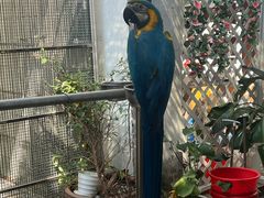 -观桥阁(锦溪店)