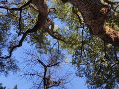 -普陀山风景名胜区-法雨禅寺