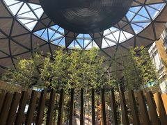 -上海滴水湖皇冠假日酒店