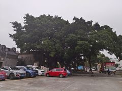 -烟桥私房菜馆(奋哥)