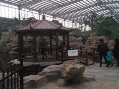 锦鲤池-龙达温泉生态城
