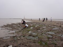 -南汇嘴观海公园