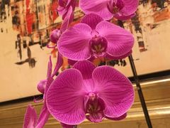 -上海静安香格里拉大酒店