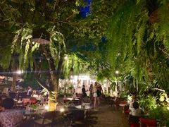-Fern Forest Cafe