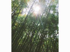 -宝岩生态观光园
