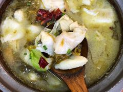 -周鱼小馆石锅酸菜鱼(活力汇店)