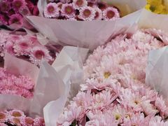 -循礼门鲜花花市(武汉循礼门店)