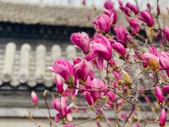 -三里河公园