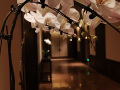-丽晶轩中餐厅(重庆丽晶酒店)