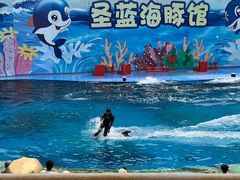 -北戴河圣蓝海洋公园