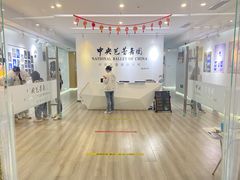-中央芭蕾舞团·中芭艺蕾(酒仙桥明星校区)