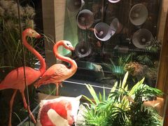 -星聚会KTV(景枫中心店)