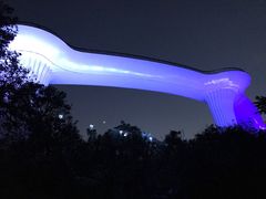 景点-飞凤山奥体公园