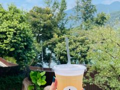 -原乡芦茨咖啡