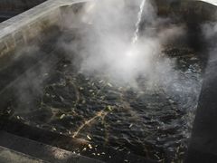 -西安国际创新人才交流中心•药浴温泉