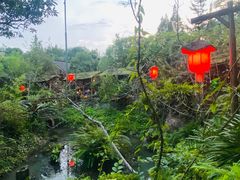 -青城甲(青城山店)