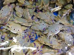 -南海渔家•海鲜•正宗海南菜(海棠湾店)