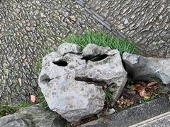 -拙政园