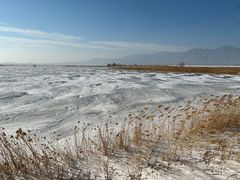 -野鸭湖国家湿地公园
