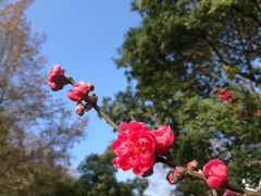 -灵光寺