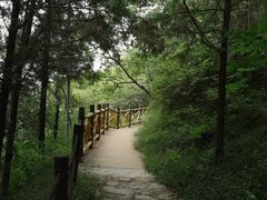 -阳台山自然风景区