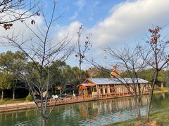 -上海海湾国家森林公园