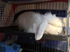 -雨林宠物医院 非犬猫异宠专科