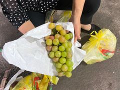 -马陆小张葡萄园农家乐