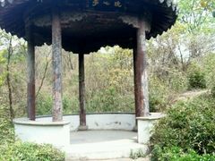 -白马涧龙池景区