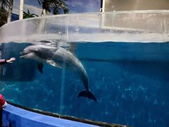 -福州罗源湾海洋世界旅游区