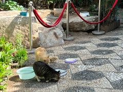 -李叔同故居纪念馆