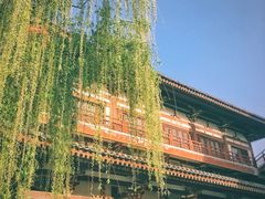-西安青龙寺遗址景区