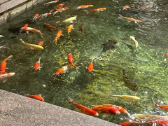 -惠食佳(滨江大公馆店)