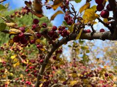 -元大都城垣遗址公园